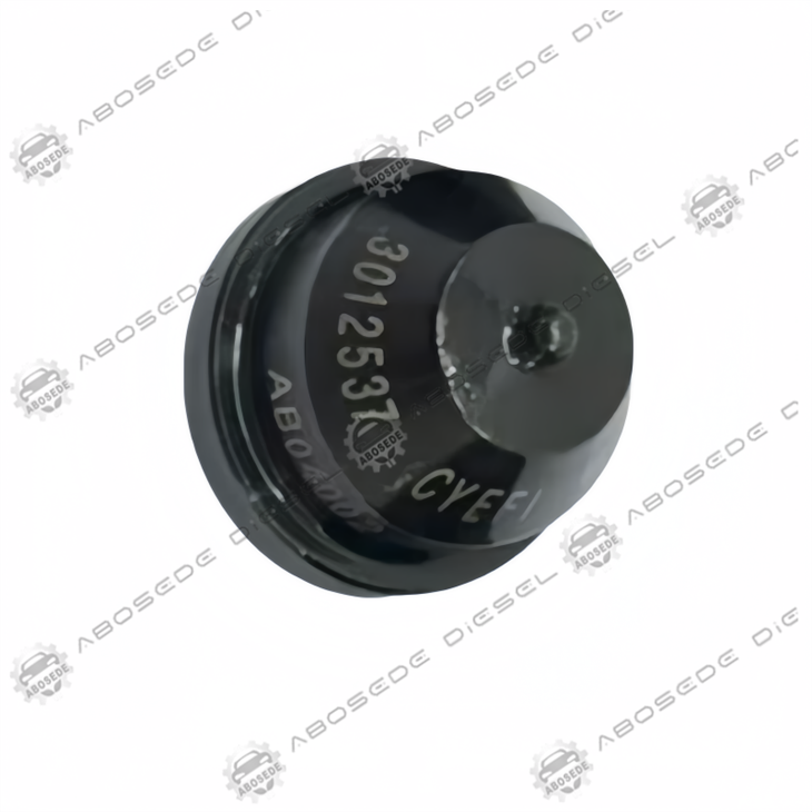 Täpne pihustus: 3077716 originaal CYEFI PT pihustiotsik